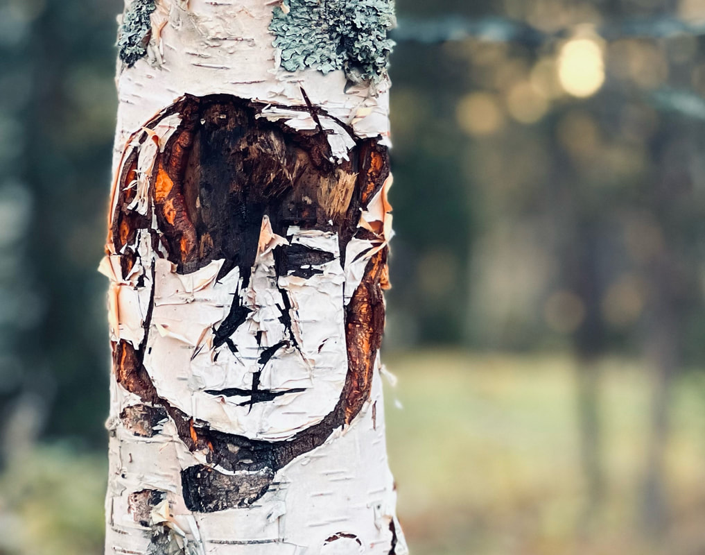 MIESKU PUTINBJØRKA. Skogfinner benyttet i eldre tider voodoo for å få utløp for følelser mot mennesker de følte seg maktesløse ovenfor. Dette lærte jeg om på et foredrag på biblioteket om skogfinner som voksen. Når slektninger i tidligere ledd døde unge, blir ikke gamle tradisjoner holdt i slekter, og mye skulle man også skamme seg for. For å kunne vise unge skogfinner hvordan naturen var budbringer/medsammensvoren i eldre tider, før digitalisering, ble rotsystem benyttet som budbringere en sen, mørk høstkveld.