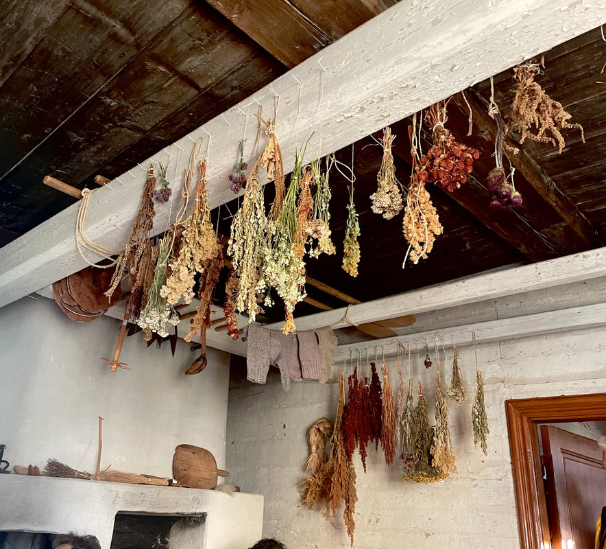 Læstadianismen vokste vi opp med. Urter til medisinsk bruk fra Læstadiusmuseet i Pajala.