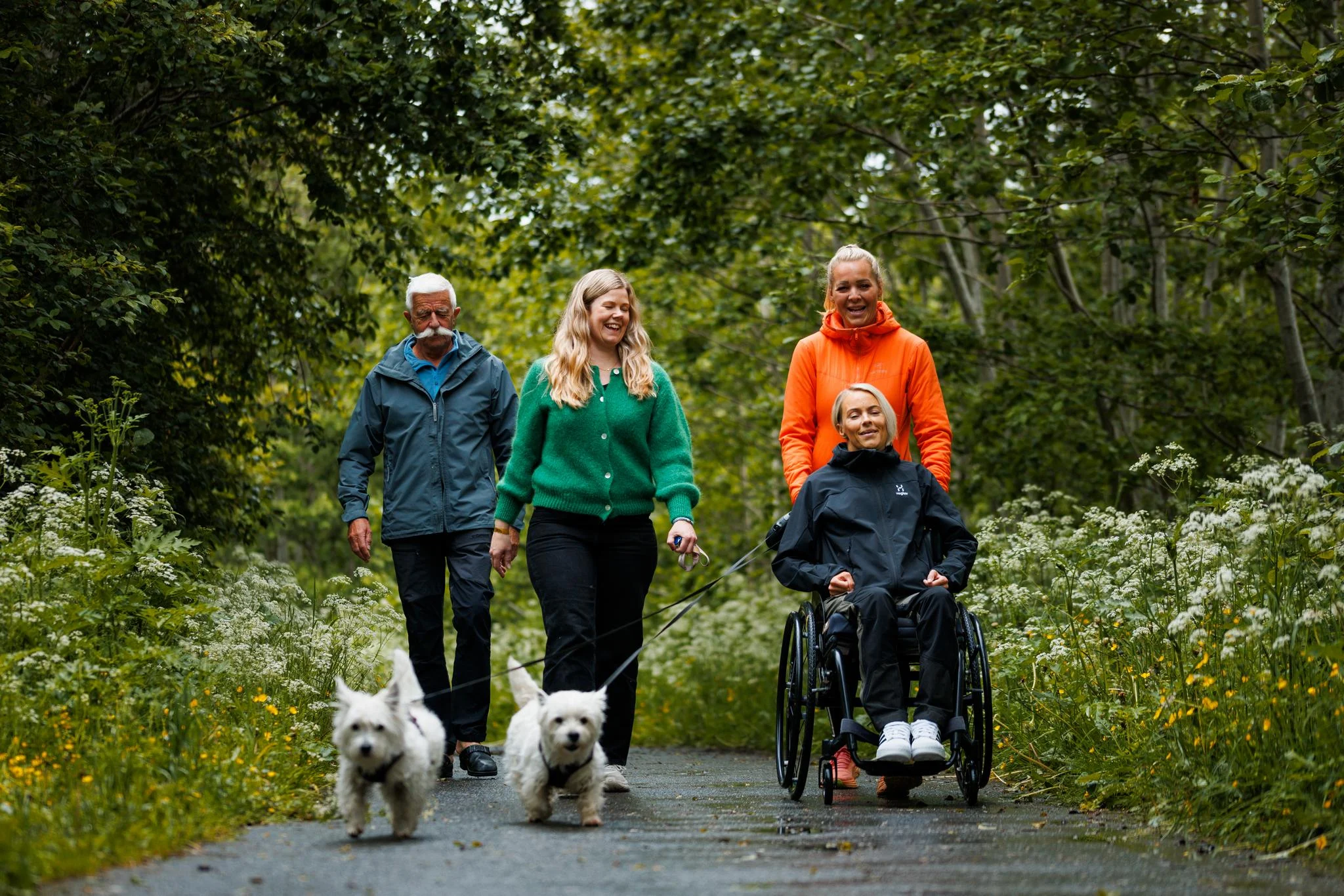 Bildet viser fire personer og to hunder som går tur på en sti i skogen. En av personene sitter i rullestol, og en annen person følger bak, mens de andre går ved siden av. Alle ser glade ut og nyter den grønne naturen rundt dem. «KI-generert bildetekst, kvalitetssikret før publisering.» 