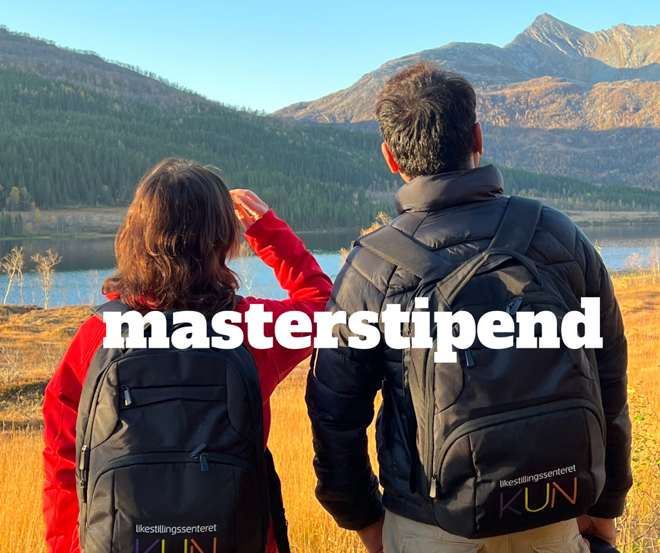 Bilde av to personer som står meg ryggen til kameraet og ser utover et landskap med vann og fjell. Over bildet står teksten "masterstipend". 