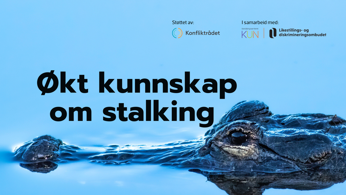 Bilde av litt av hodet til en krokodille eller alligator som stikker opp av vannet. Over bildet ligger teksten "Økt kunnskap om stalking". 