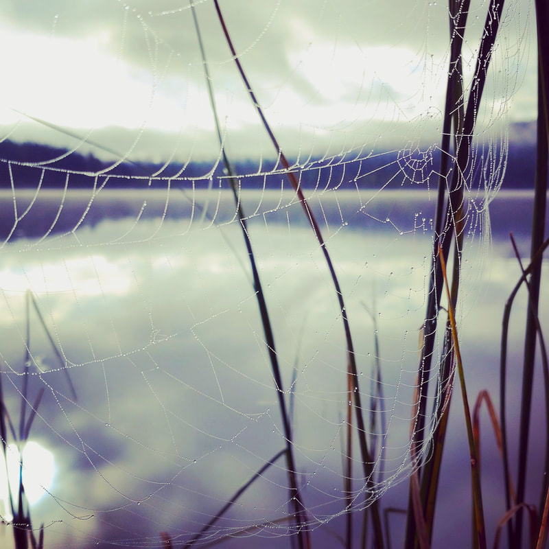FANGSTMANNENS SPINNAKER. MIN FAR. Flittig fangstmann, fanget på sin båtplass, med god seilvind i den hullete spinnakeren, foreviget i soloppgangens morgendugg. Har menneskeheten fortsatt araknofobi mot andre kulturer enn sin?