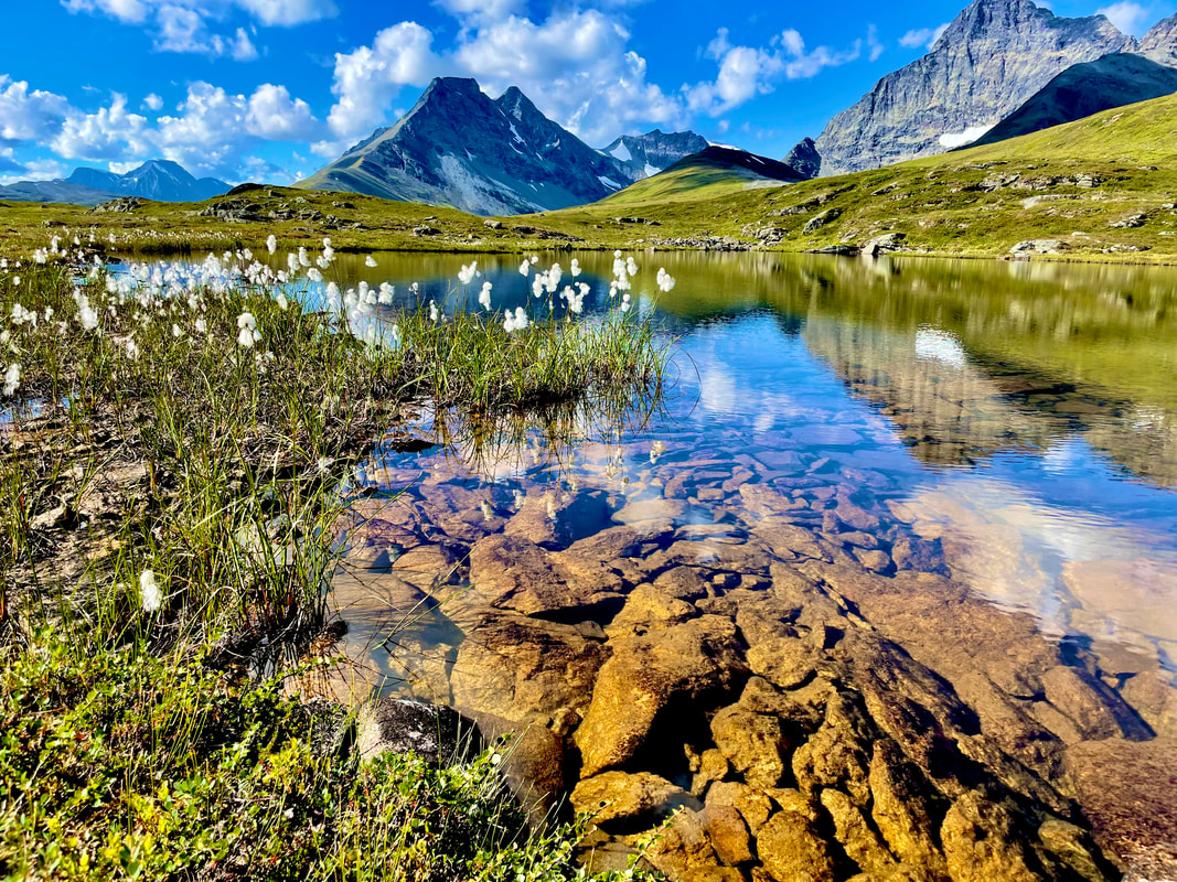 Finner ro i naturen.